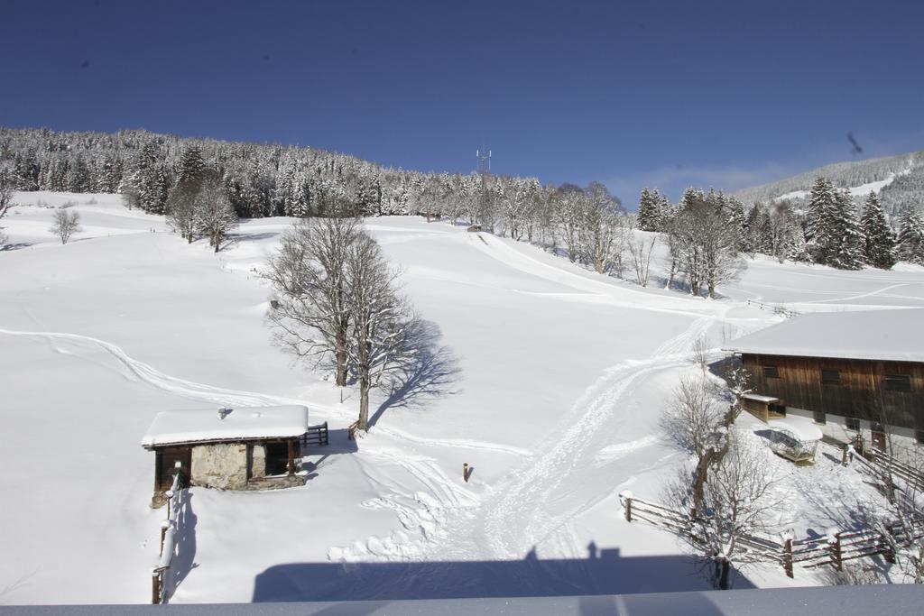 Eberharthof Apartment Saalbach-Hinterglemm Exterior foto